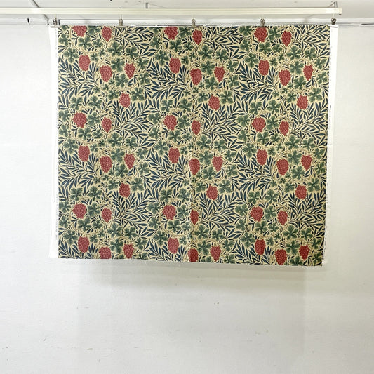 サンダーソン Sanderson ヴァイン Vine ベージュ ファブリック 生地 120x143cm ウィリアムモリス William Morris ●